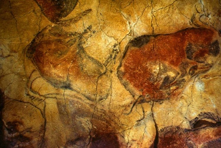 U Altamiri otkriveni crteži stari 25.000 godina