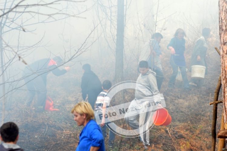 Direktorica poslala djecu da se bore sa vatrom (FOTO)