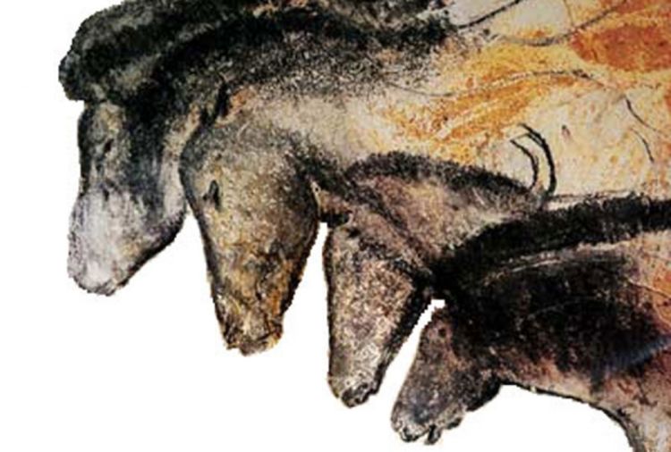 Crteži iz pećine Šove najstariji na svijetu