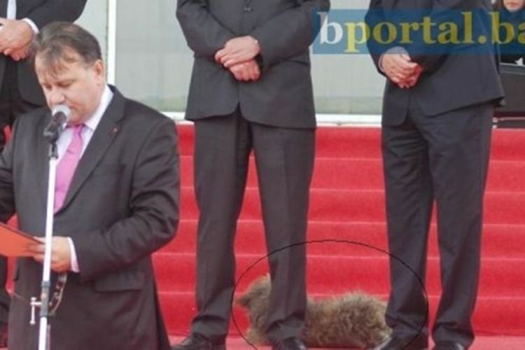 Otvaranje sajma: Nikšić držao govor, pas lutalica iza leđa pravio "haos"