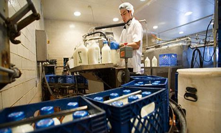  Italijani, Nijemci i Turci žele mlijeko iz BiH