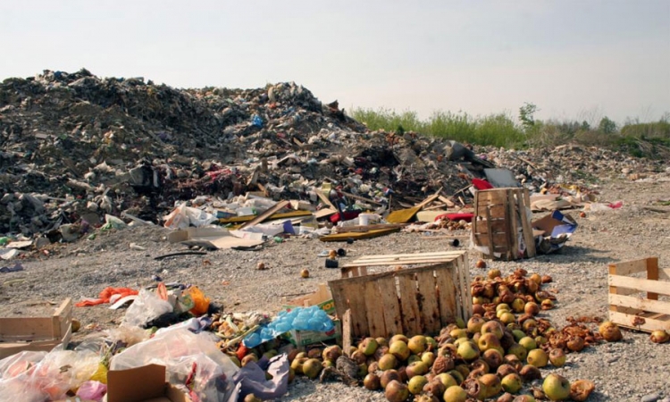 U Banjaluci uništene pokvarene namirnice