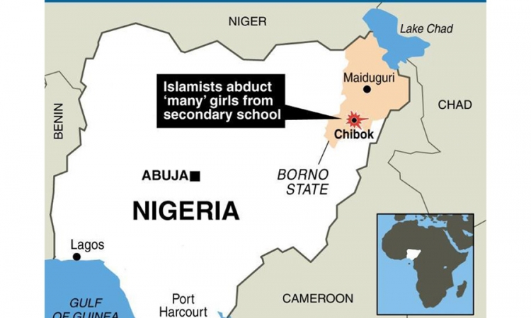 Oslobođeno samo 14 od 129 otetih učenica u Nigeriji