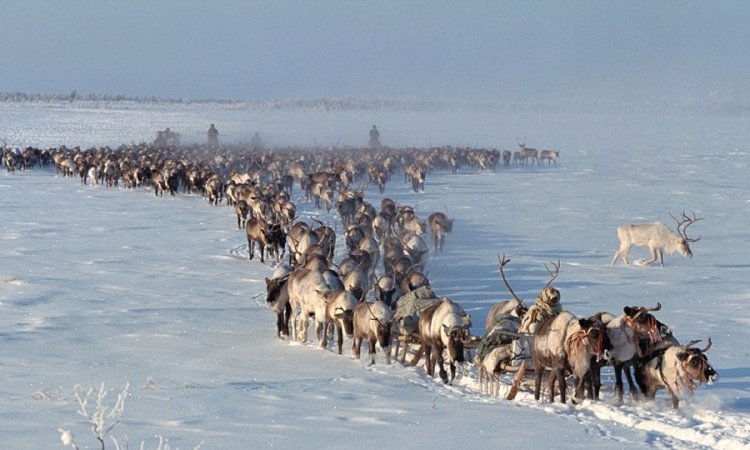 Život na -50°C u daljinama Sibira