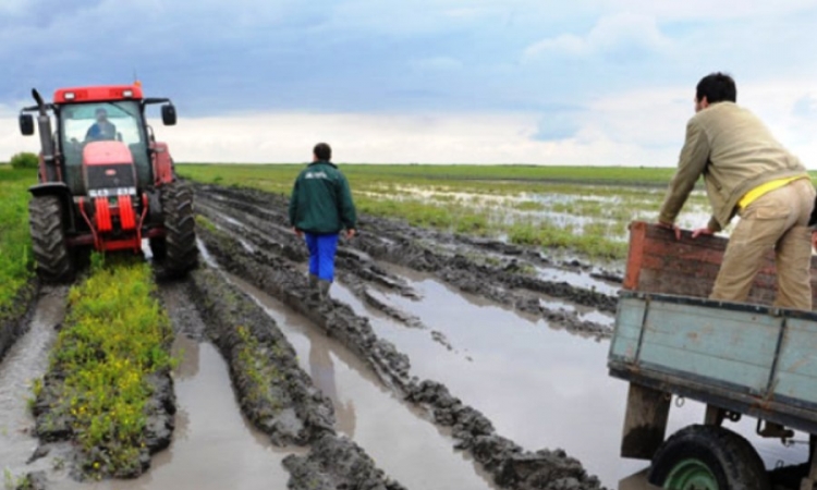 Poplave nanijele velike štete agraru