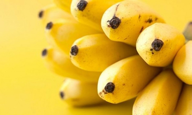 Prezrele banane zdravije od običnih
