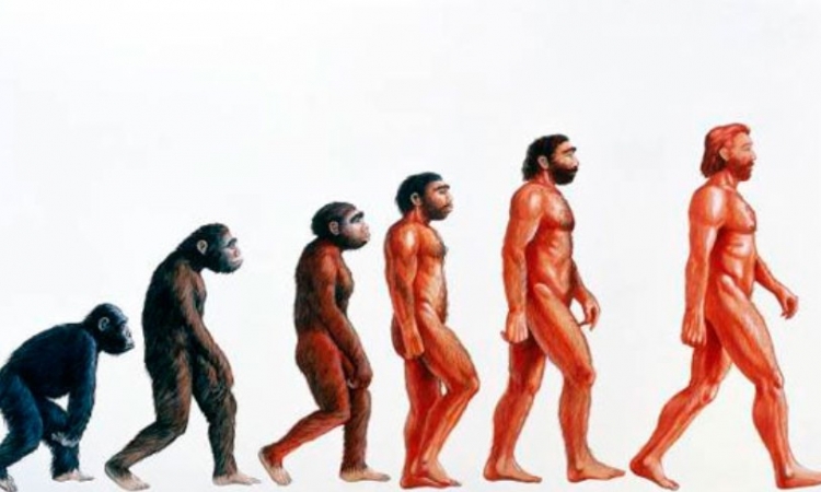 Amerikanaci odbacuju teoriju evolucije