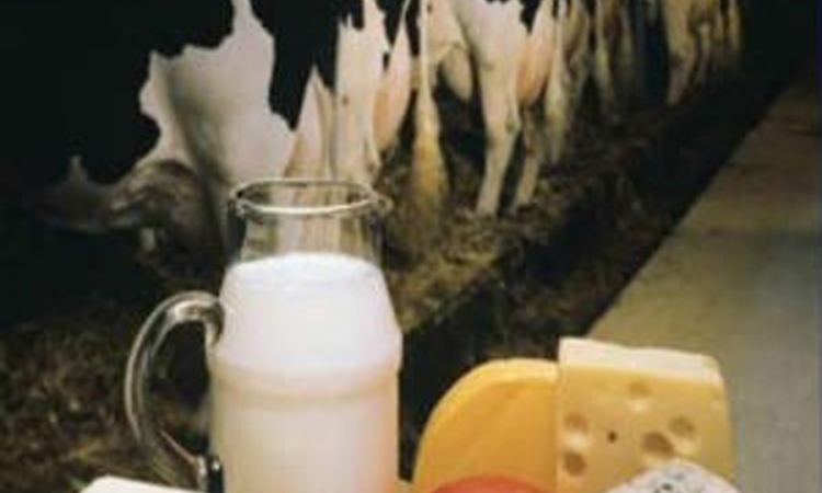 Rusija zabranila uvoz mliječnih proizvoda iz Ukrajine