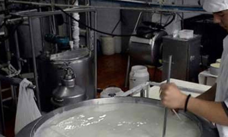 Važno pokrenuti proizvodnju u mljekari DTD Šnjegotina