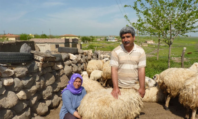  "Solarni magarci" pomoć turskim farmerima