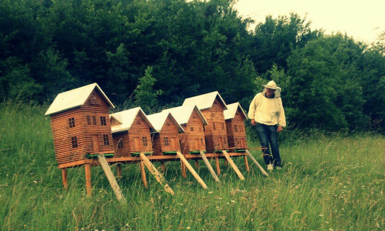 Pčelama sagradio kuće