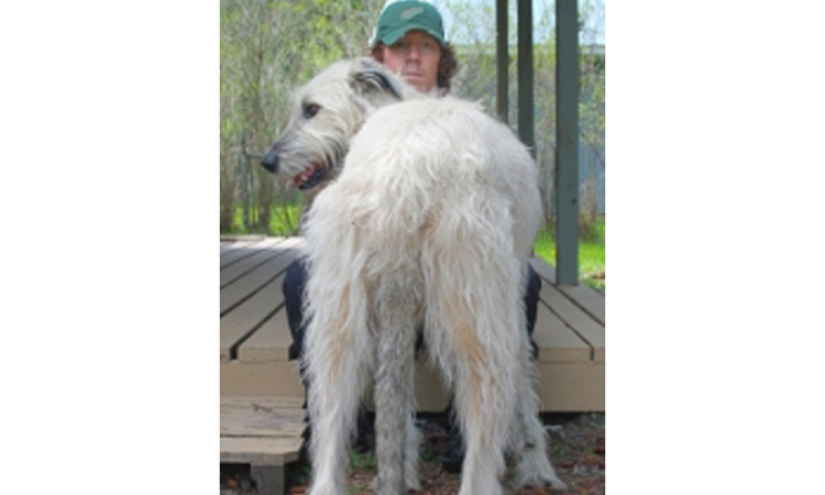 Pas sa najdužim repom na svijetu