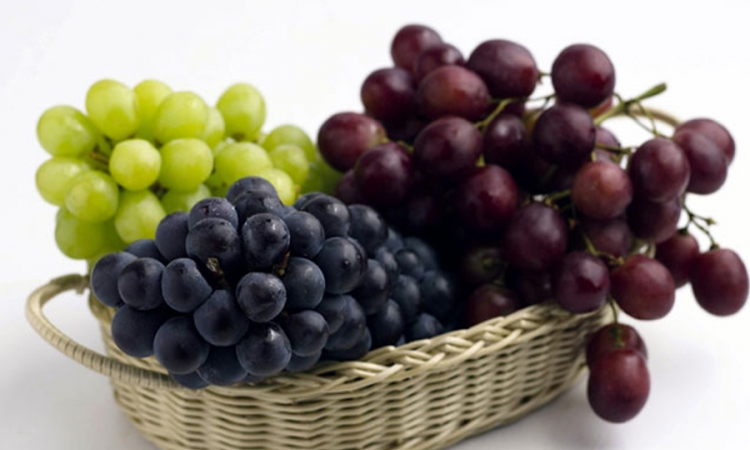 Ljekovite prednosti grožđa