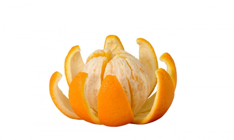 Narandže u borbi protiv karcionoma želuca 