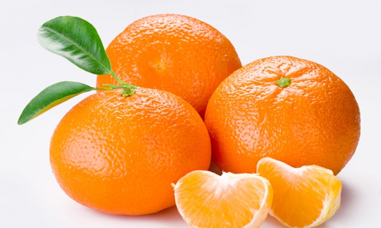 Ljekovita svojstva mandarina