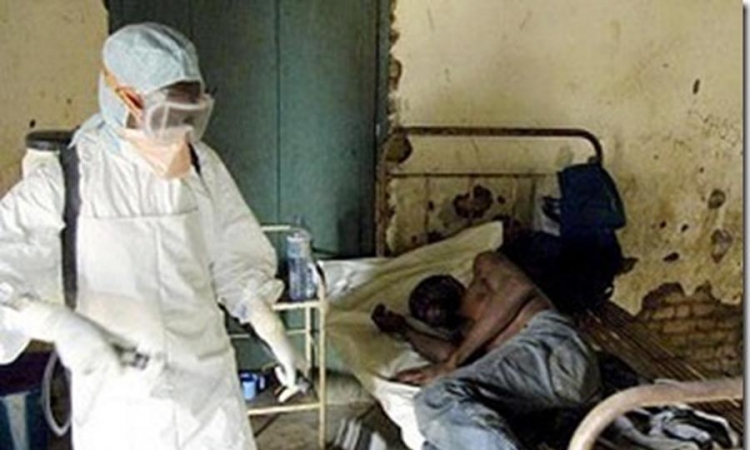  Svijet gubi bitku sa ebolom