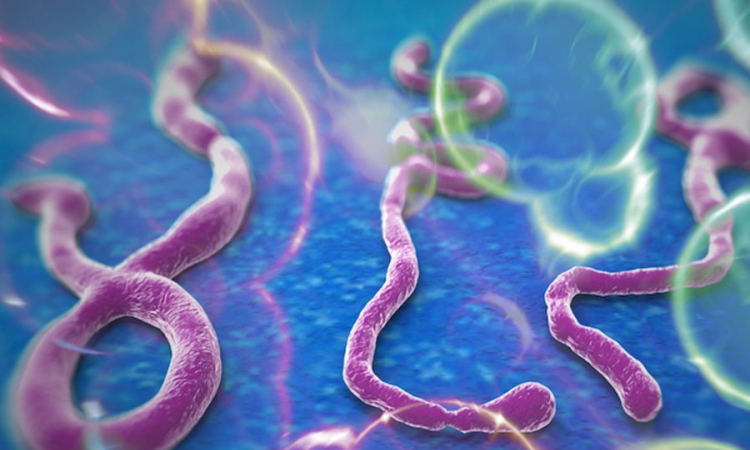 Klinički testovi vakcine protiv ebole počinju u novembru