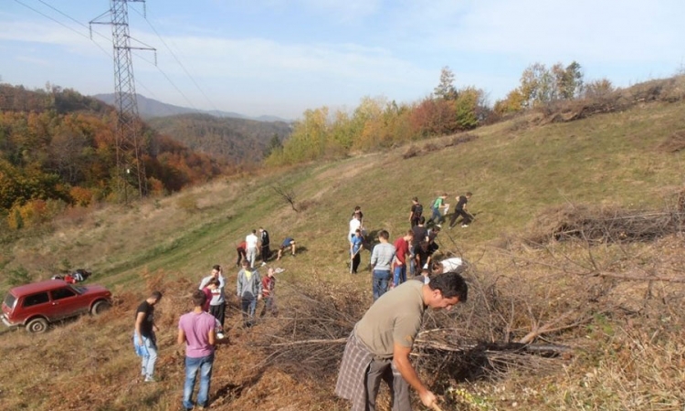 Šumu će saditi oko 10.000 volontera