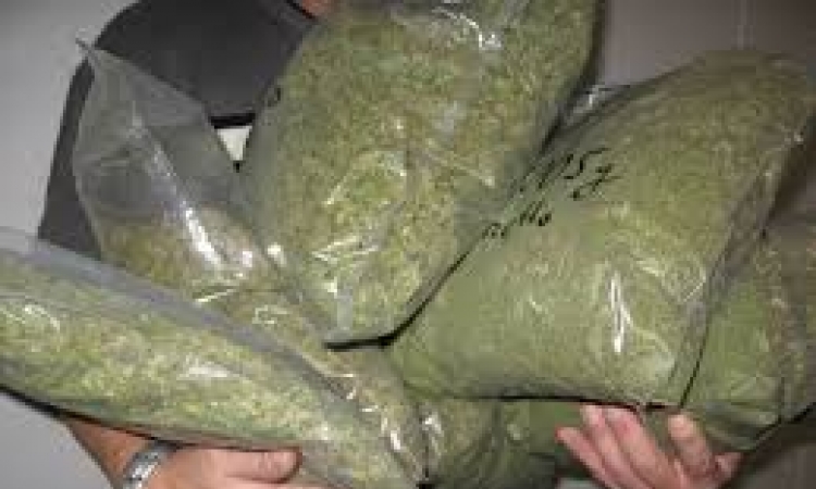 Na Kleku zaplijenjeno 10 kilograma marihuane