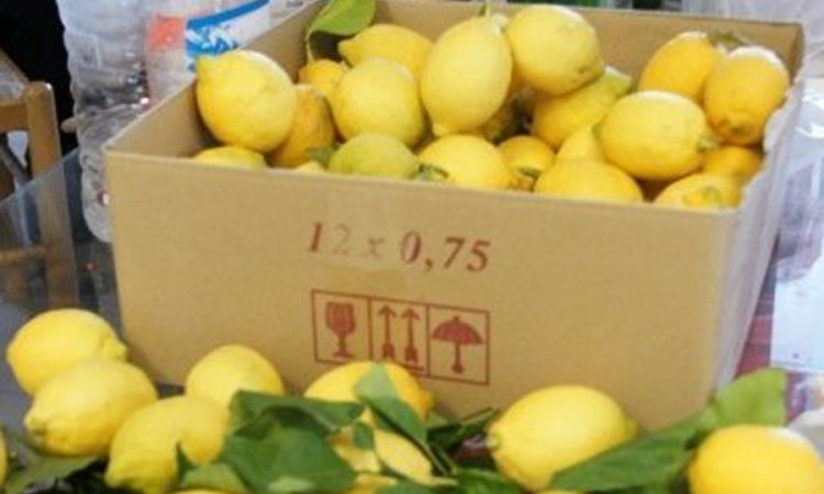 I limun iz Španije tretiran opasnim fungicidom
