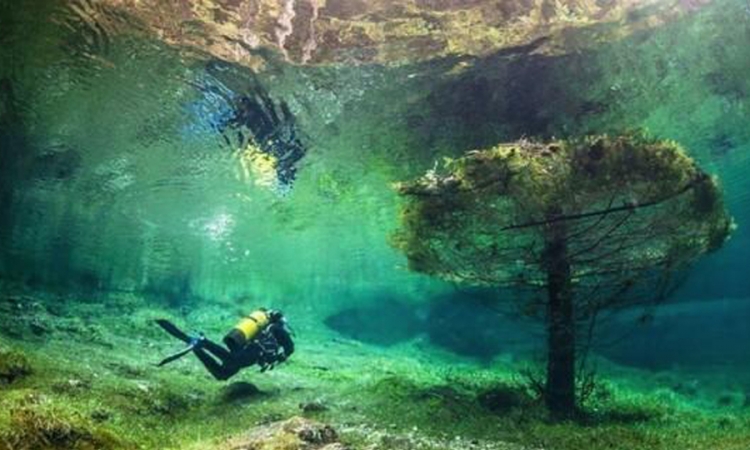Austrijsko jezero u proljeće postaje podvodni park
