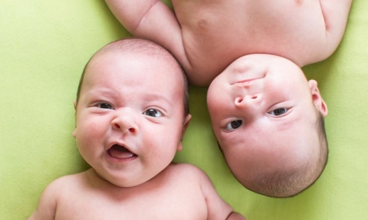 Sve više blizanaca zbog vještačke oplodnje