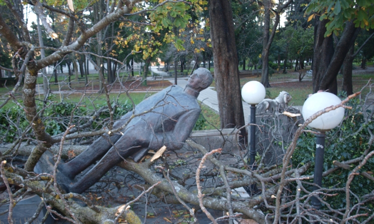 Stablo kestena srušilo Dučićev spomenik 