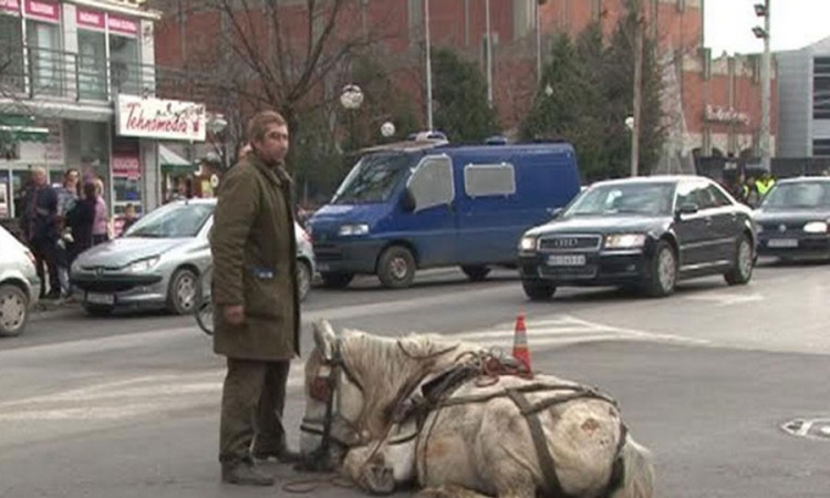 Brutalno pretukao konja u centru grada