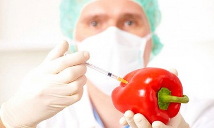 Dvije trećine uzoraka hrane u BiH sadrži GMO