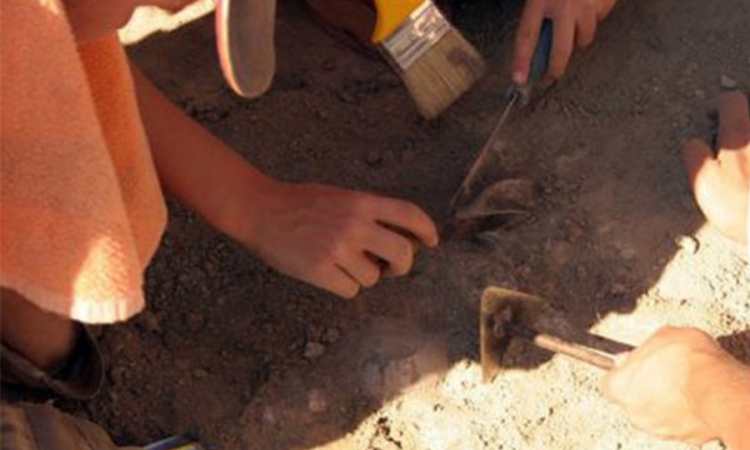 U misterioznoj grobnici u Amfipolisu pronađeno pet skeleta