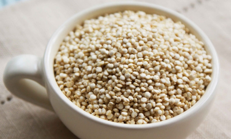 Kvinoja, majka žitarica