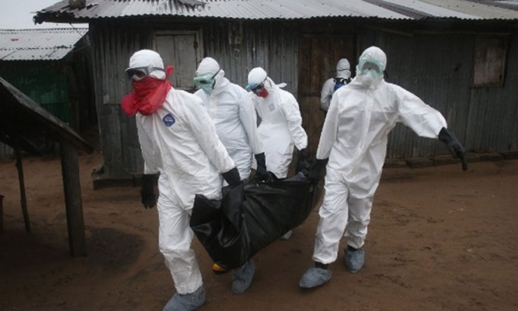 Virus ebole mutira?