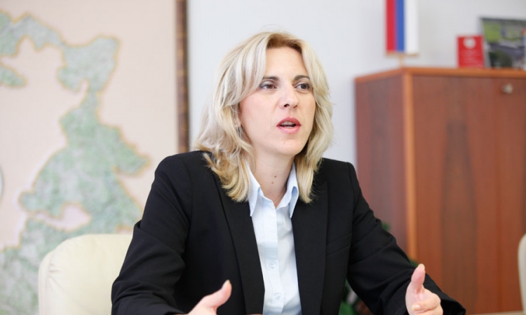 Cvijanović: Ambasador Pamer daje proizvoljne kvalifikacije