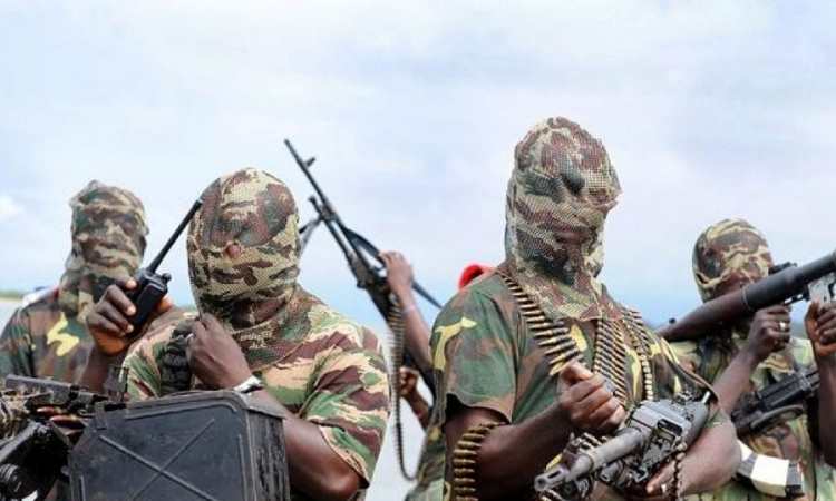 Pulka oslobođena od Boko Harama