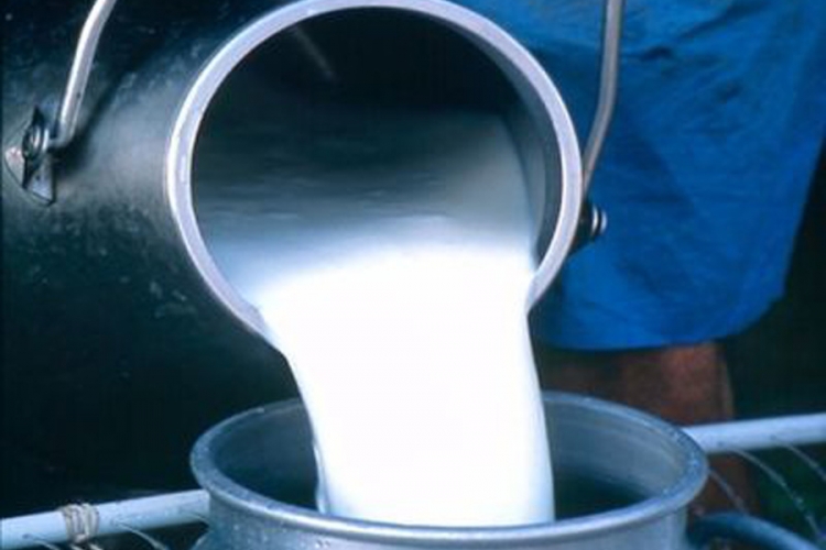 Šarović: Preostala još dva uslova za izvoz mlijeka u EU