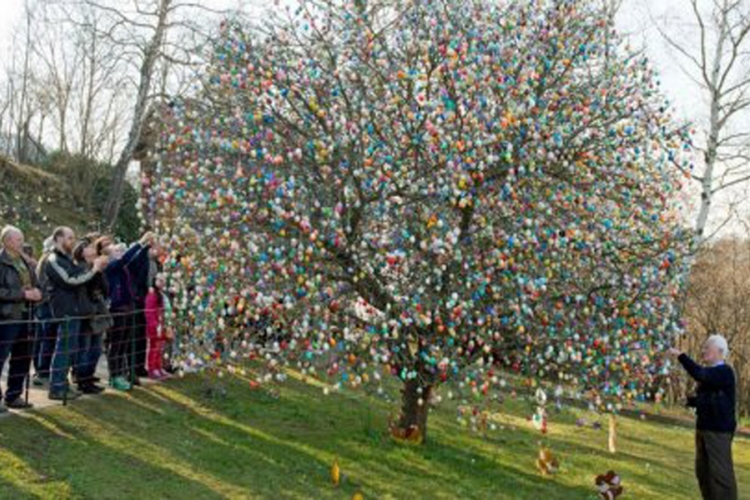Nesvakidašnja raskoš: Ukrasili drvo sa 10.000 uskršnjih jaja