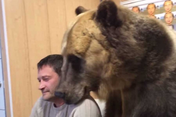 Medvjed traži posao preko Skajpa