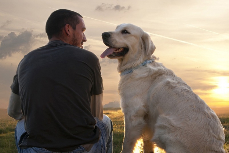 Vezu između psa i čovjeka učvršćuje hormon oksitocin