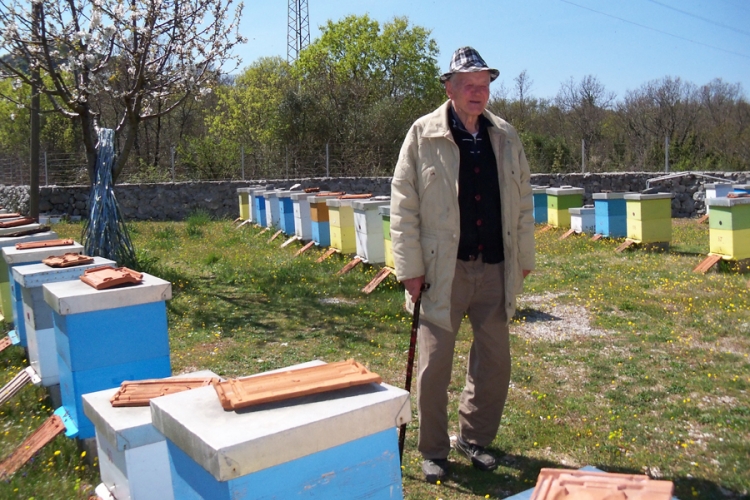 Savo Ljubibratić sedam decenija druguje sa pčelama