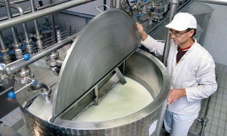 Ispunjeni uslovi za izvoz mlijeka u EU