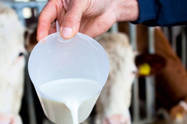 Podrška hitnom ispunjavanju uslova za izvoz mlijeka u EU
