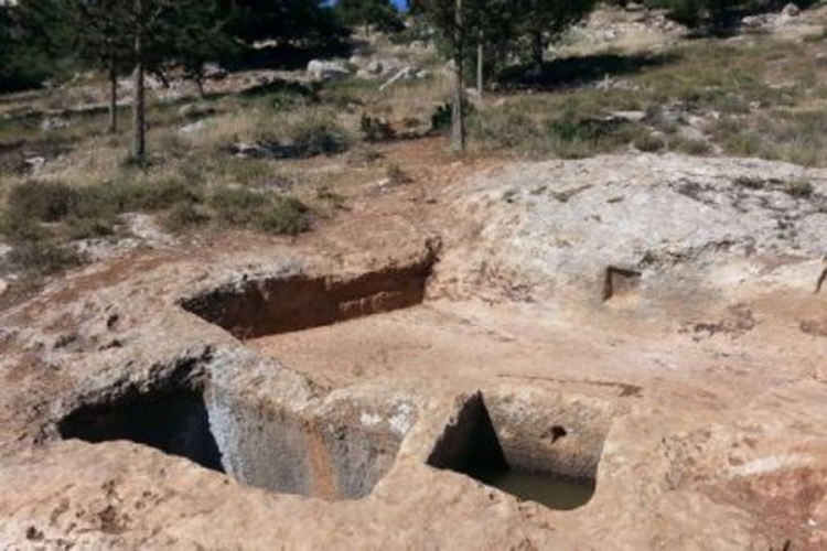 Dječak-arheolog pronašao presu za vino staru 1.400 godina