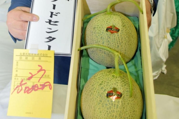 Jubari dinje na aukciji u Japanu prodate za 12.400 dolara