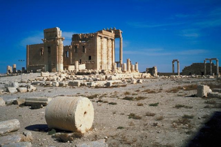 Palmiri vrijeme ništa ne može, ali mogu ljudi