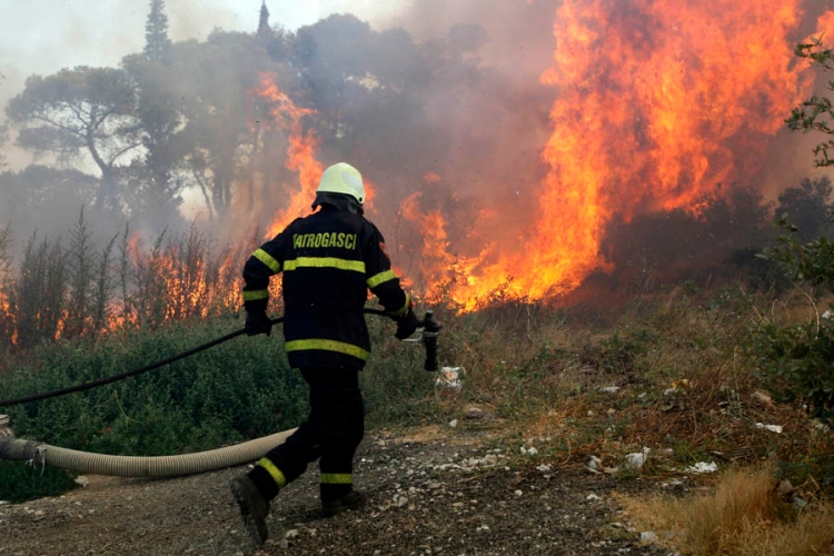 Požar u Istri: Gori šuma i nisko rastinje (VIDEO)