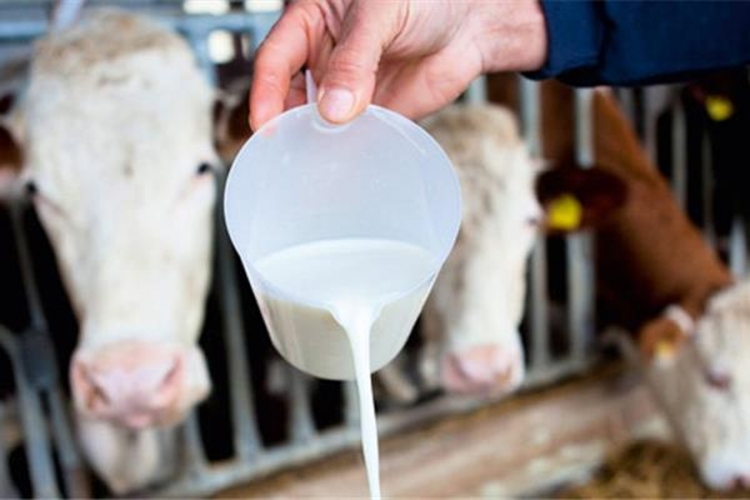 Danas ističe rok mljekara za riješenje problema izvoza mlijeka