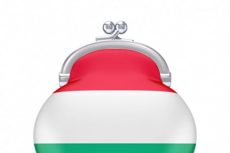 Nakon pada skočila ulaganja u Mađarskoj