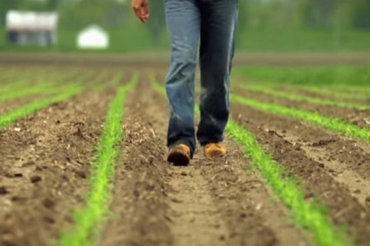 Američki radnici tužili Monsanto zbog izazivanja raka 