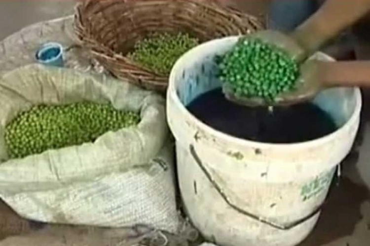 Strašno: Ubrizgavaju hemikalije kako bi povrće izgledalo svježe (VIDEO)