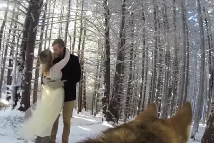 Pogledajte vjenčanje gazde iz pseće perspektive (VIDEO)